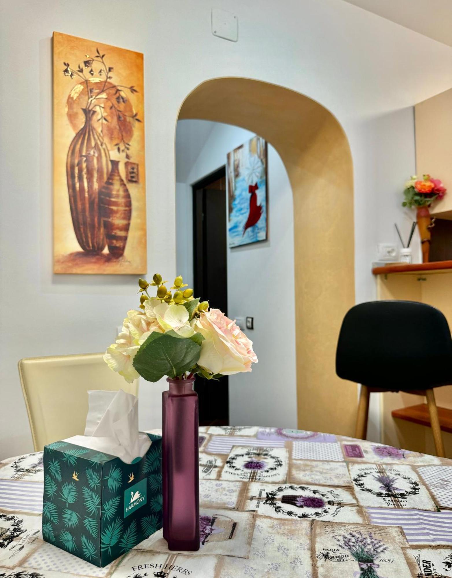 Apartment Blancris Brasov