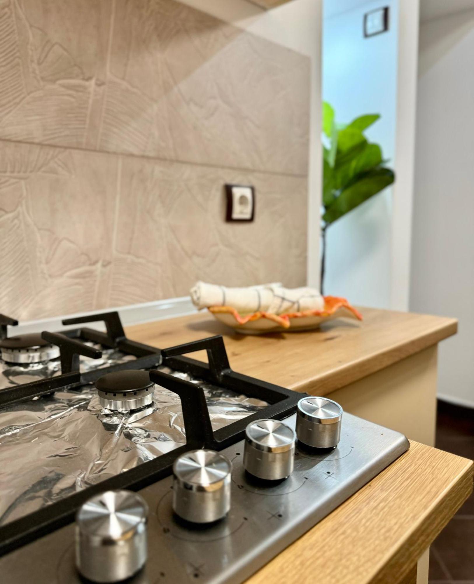 Apartment Blancris Brasov